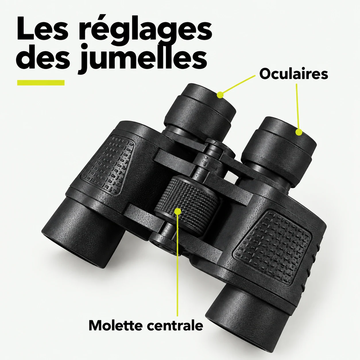 Jumelles d’observation à molette centrale — Les réglages des jumelles : Molette centrale, Oculaires