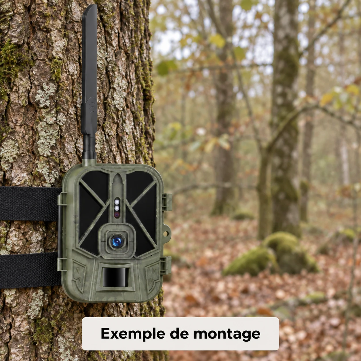 Caméra de chasse CC-44, La pose